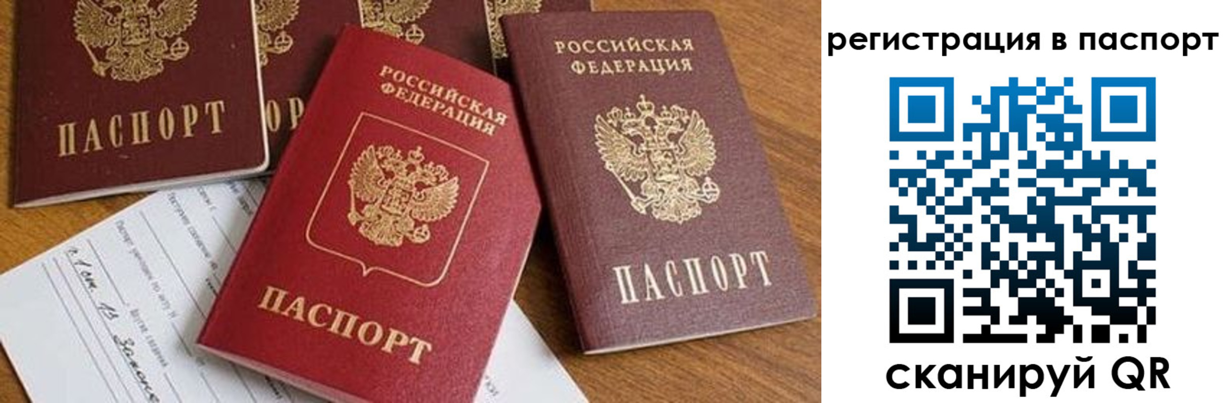 прописка в Белокурихе
